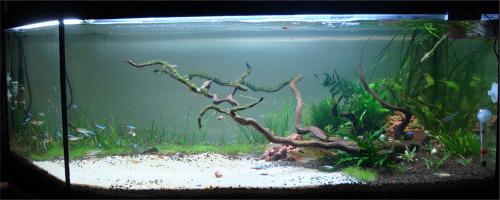 <img src=http://i178.photobucket.com/albums/w272/triplejumbo/Untitled-2-1.jpg border=0 alt= />